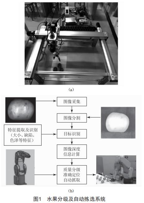 基于機(jī)器視覺的水果分級分揀系統(tǒng)關(guān)鍵技術(shù)研究