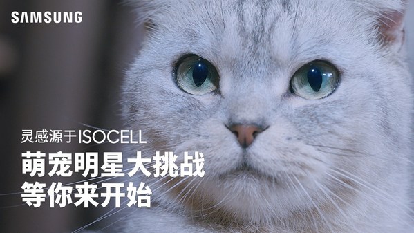 萌寵照片大集合，三星超高像素拍照征集活動開始