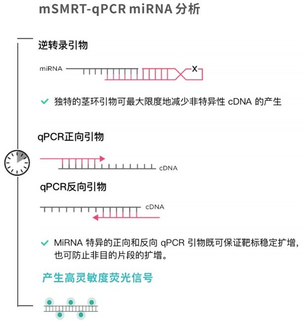 圖3.覓瑞獨(dú)特的三引物設(shè)計(jì)。