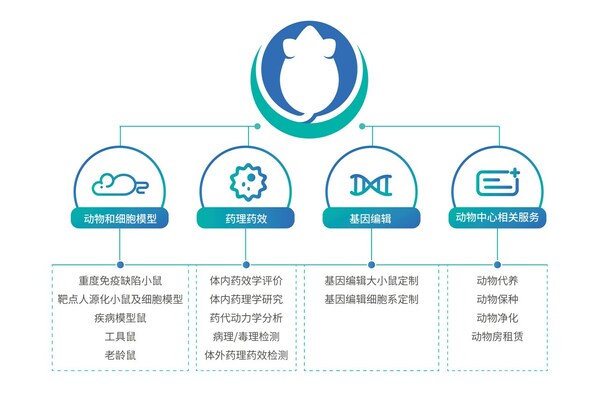百奧賽圖升級兩大業(yè)務(wù)線，推出子品牌BioMice百奧動物，賦能全球創(chuàng)新藥物研發(fā)