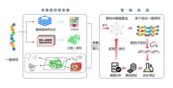 擎科AI平臺破解酶工程難題，助力產(chǎn)業(yè)升級